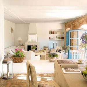 plants-flowers-Mediterranean-interior jpg